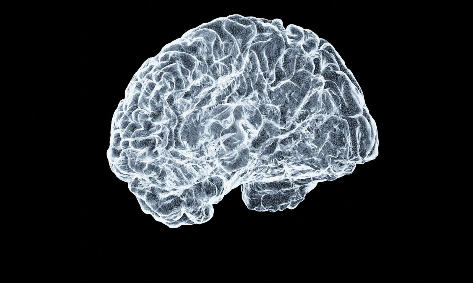 A luminous wireframe model of a human brain against a black background