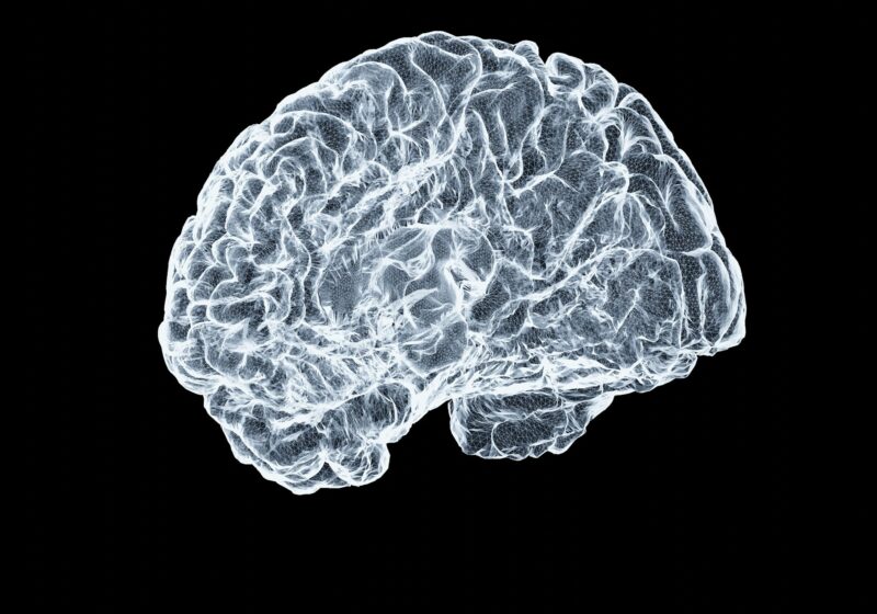 A luminous wireframe model of a human brain against a black background
