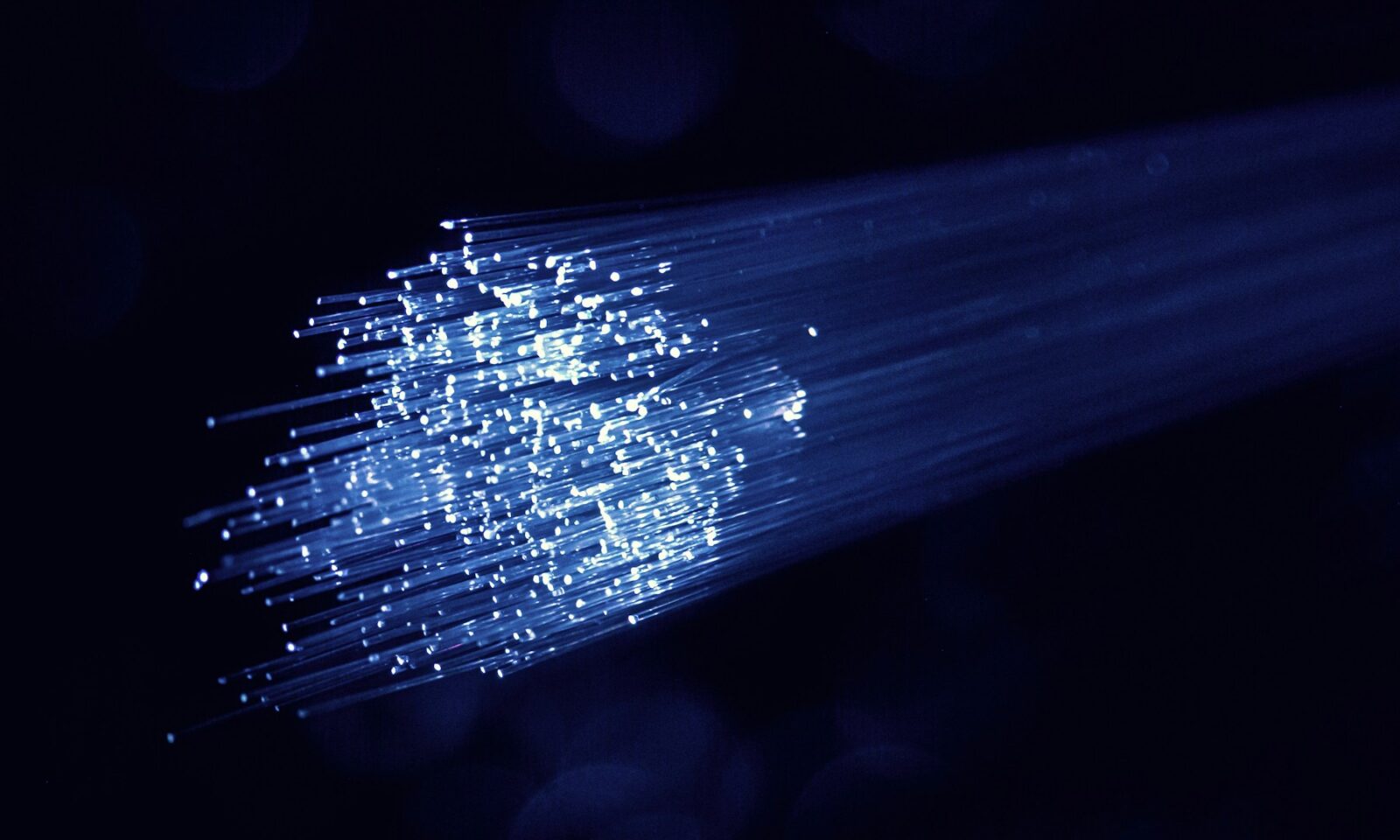 Illuminated fiber-optic strands against a dark blue background