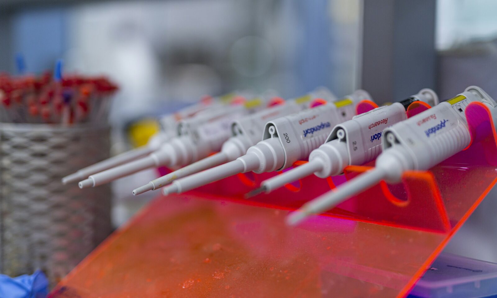 Laboratory pipettes arranged for scientific research, illustrating AI-enabled biology and biosecurity.