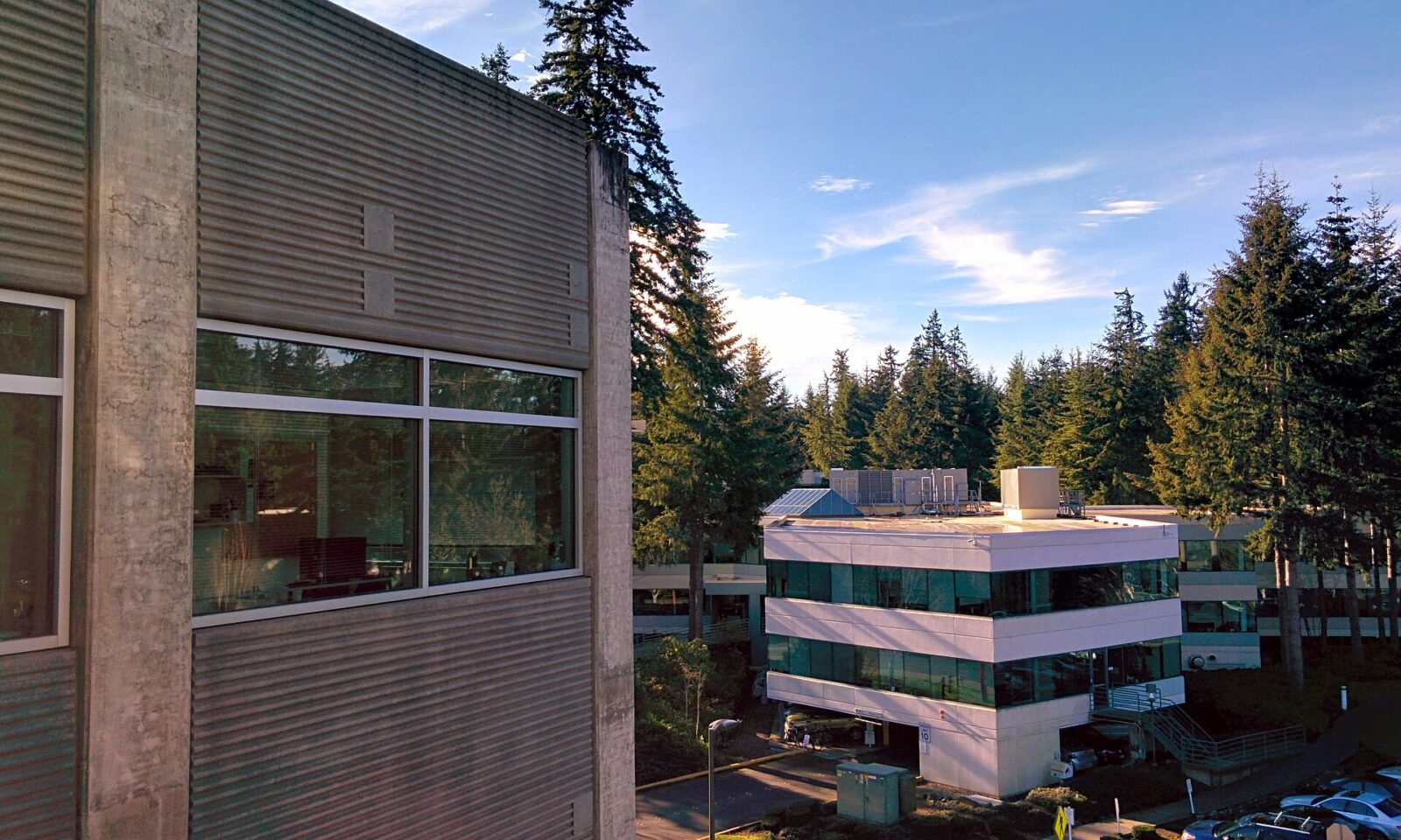 View across the Microsoft campus in Redmond, Washington