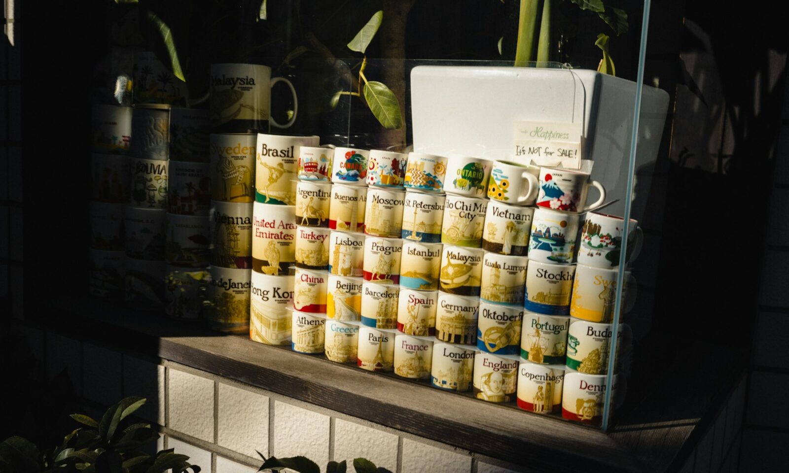 A collection of coffee mugs displayed on retail shelving