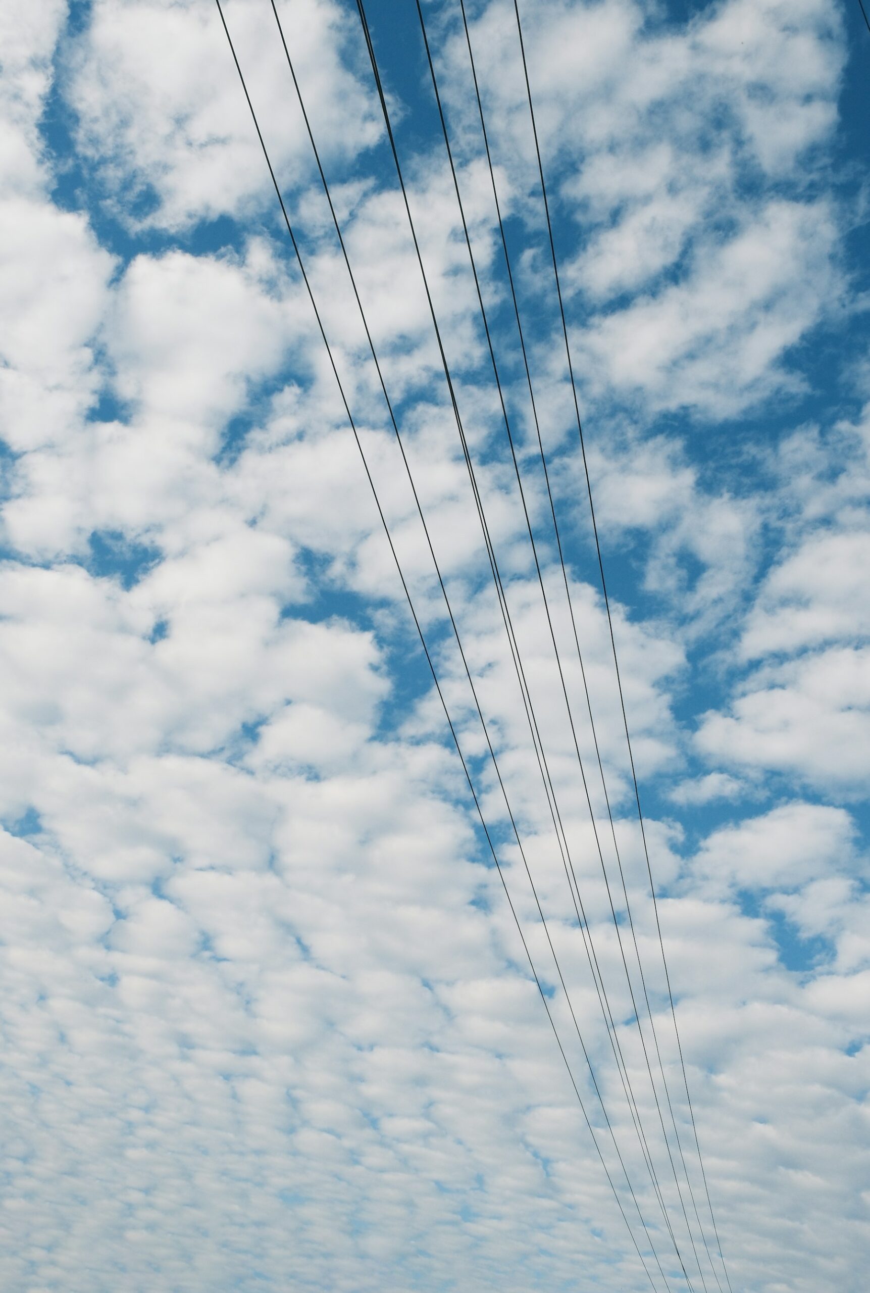 Power lines against a cloudy blue sky, illustrating the electricity infrastructure behind AI data centers