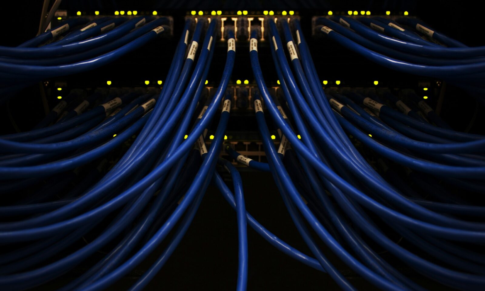 Blue network cables connected to equipment in a server rack